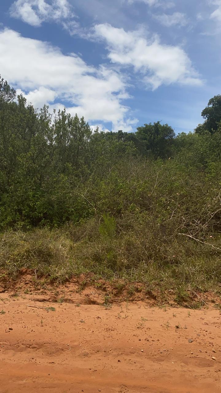 0 Bedroom Property for Sale in Bathurst Eastern Cape